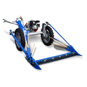 BCS : �������������������� ������ -