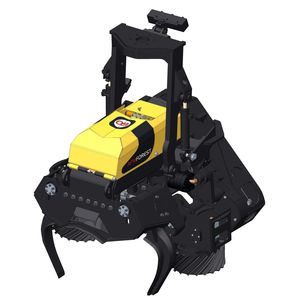 AFM-Forest Ltd : ������������������� ������� -