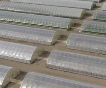 ���������� ������� Cold Frame series �� �������� �� �������� ������������