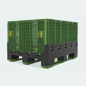 Pentaplast : �������������������� ��������� -