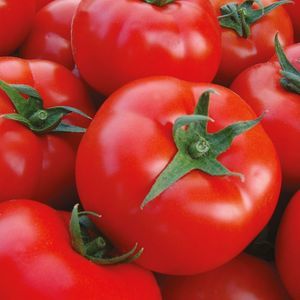 Manier Seeds : ������ � ������ ������� -
