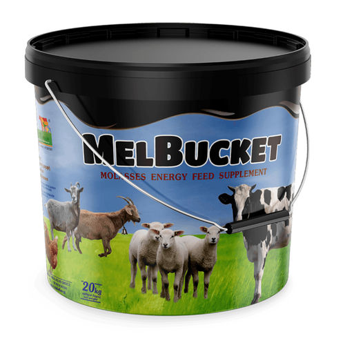 �������� ������� ��� �������� MELBUCKET ��� �������� �������� ����� ��� ���� ��� �������