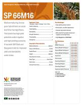 ������ ����� ������� �������� SP 66M16 ����� ���������