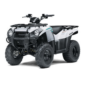 ���������� 4x4 BRUTE FORCE� 750 2024 4x2 � ���������� ���������� �����������