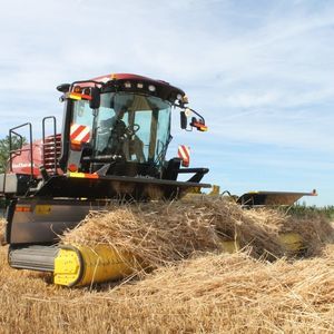 ROC srl : �������������������� ������ -