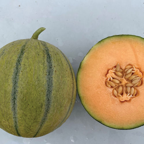 ������ ������ ���� Melonade ���������� � ������� ���������� � ��������� �������