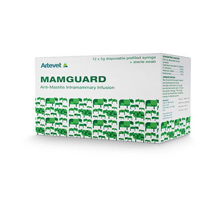 ��������������������� ������� �������� Mamguard ��� �������� �������� ����� �����