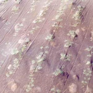 Texinov : ����������� -