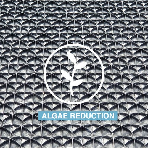 �������� �������� ��� ���������� ALGAE Control ��� ������ ��� �������������� ��� ������ ��� ���������������