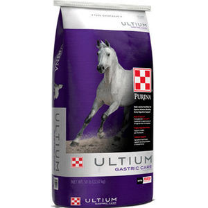 �������� ������� ��� �������� Equine Senior� ��� ������� �������� ��������