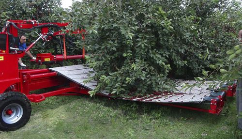 �������� ��� ����� ������ ��� ���� MAJA AUTOMATIC-TS ��������� ������������
