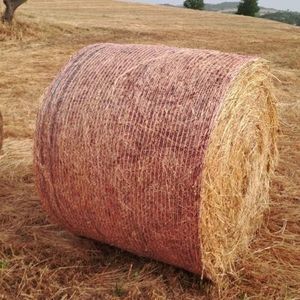 �������������������� ������� 2 STRANDS �� ������