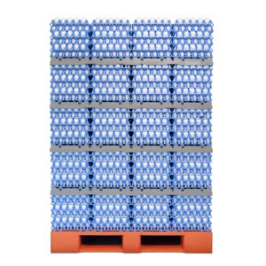 GI-OVO B.V. : �������������� -
