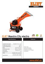 ������������ ����� �� ������� Maestro City � ���������� ����������
