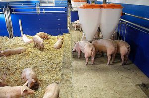 ������������������ ��� ����������� RGA series �� ������ ������� ���������