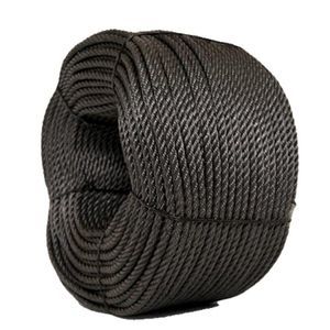 ������� ��� ������ ����� POLYEX ���������� � ���������