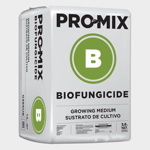 �������� �������� ������� BX BIOSTIMULANT + MYCORRHIZAE ������ ���������� � �����