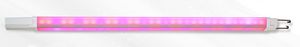 Fujian Sanan SINO-SCIENCE Photobiotech Co., Ltd. : �������������������� ��������� -
