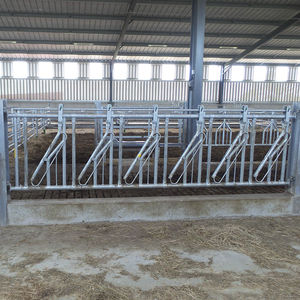 JOURDAIN : �������������� -