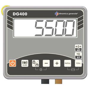 DINAMICA GENERALE S.p.A. : ���������� ���������� -