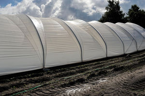 Haygrove Tunnels : ����������� -