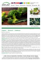 ������� ������ �������� Calabrese ������������ ������