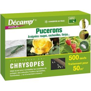������� ������ �������� Nmatodes