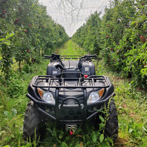 Asgard Motors : �������������������� ������ -