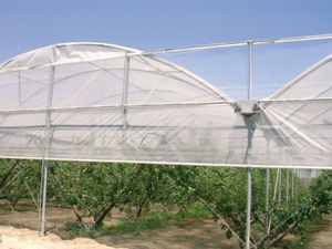 ������ ��� ������� Super Added �� �������� �� ����������� �� LDPE