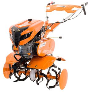 SC Ruris Impex : ����� �������������������� ������������ -