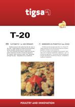 ���������� ����� ��� ������ T20 ���� � ������ � �������� ��������