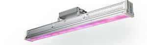 Fujian Sanan SINO-SCIENCE Photobiotech Co., Ltd. : �������������������� ��������� -