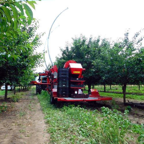�������� ��� ����� ������ ��� ������� ����� MAJA AUTOMATIC SC-MH ��� ������� ��� ����� ��� ����
