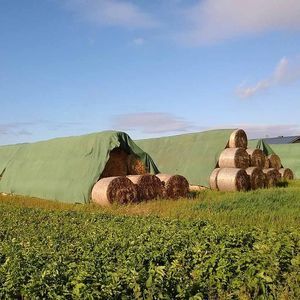 GLAESERgrow : ������ � ������ ������� -