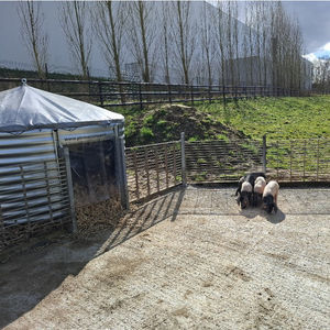 PLEIN AIR CONCEPT : �������������� -