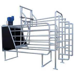 POLANES Ltd. : �������������� -