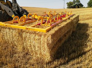 ���� ��� ����� Fred 3-4HD � 3-�� �������