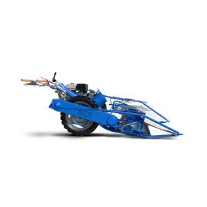 BCS : �������������������� ������ -