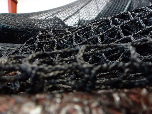 ���� ��� ������������ �� Dyneema� MN