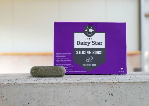 ����� ������� DairyStar Salicine Boost ��� �������� �������� ����� ��� ���������� ���������������� ������� �����