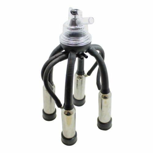 �������� ������ ��� ����� Stainless Shells 4 �������� ������� � �������������� �����������