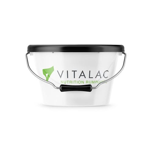 ������� � ����� ��� ����� VITAFLY � ��������������� � ������� � ��������