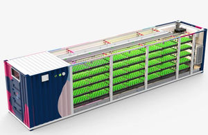GrowSpec : ����������� -