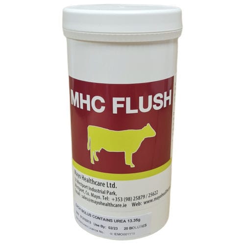 ����� ������� MHC Flush ��� �������� �������� ����� ��� ���� ��������������