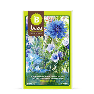 ������� ������ ������ Myosotis des Alpes ������ ����� ��� ������