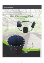 ������ �� �������� Air Pruning �� ��� ������� ������