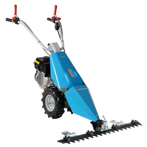 Bertolini : ����� �������������������� ������������ -