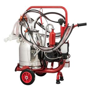 �������� ��������� ��� ��� KM02042 >4 � ����������������� ���������