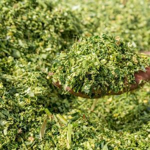 Novagrar GmbH & Co. KG : �������������� -