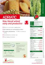 ������ ������ ������ ������� ADRIATIC ������ ���������� � �������� ����������������